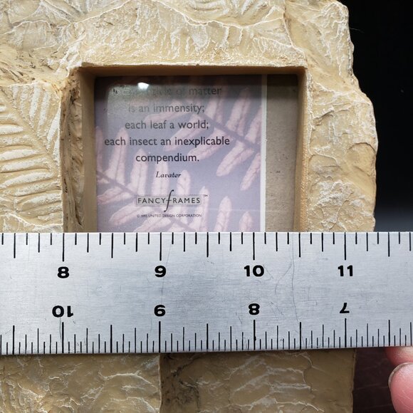 Vintage Fancy Frames Earth Echoes Fossil Leaf Photo Frame – Stone Look Nature De - Picture 5 of 8